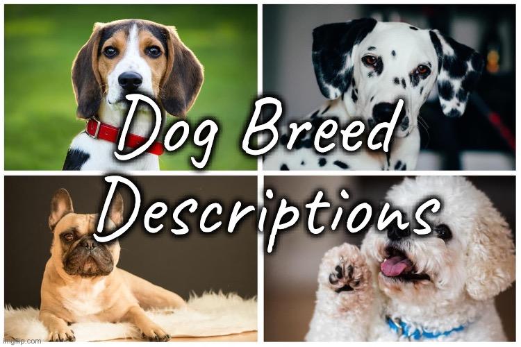 CritterCaper Dog Breed Descriptions