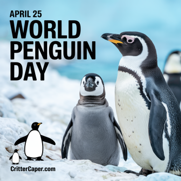 Happy World Penguin Day 2025 !