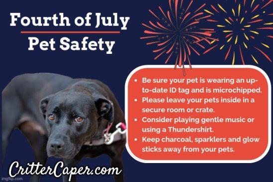 4th of July Pet Safety